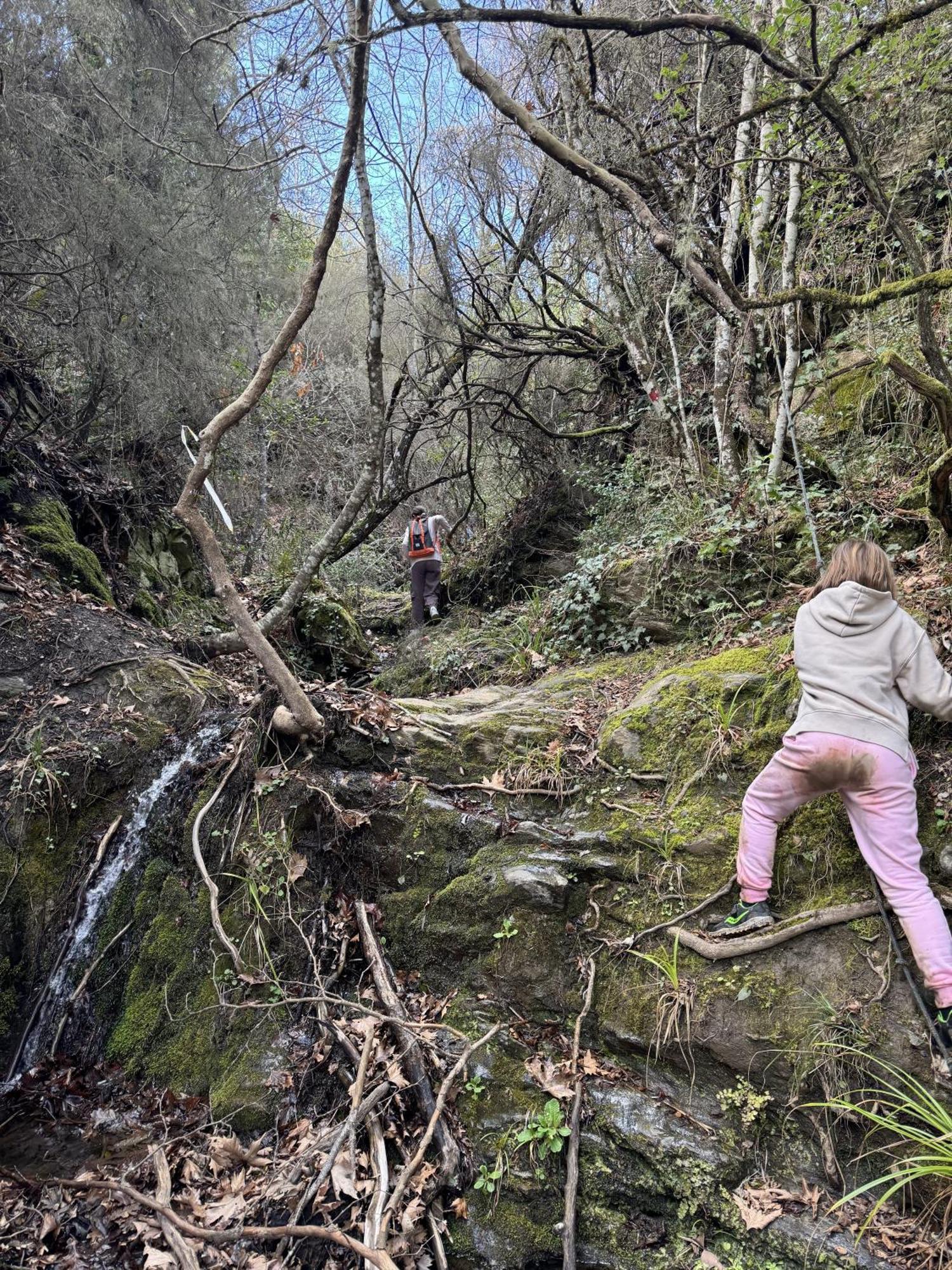 טריפוליס Foresta In Medias Mores מראה חיצוני תמונה