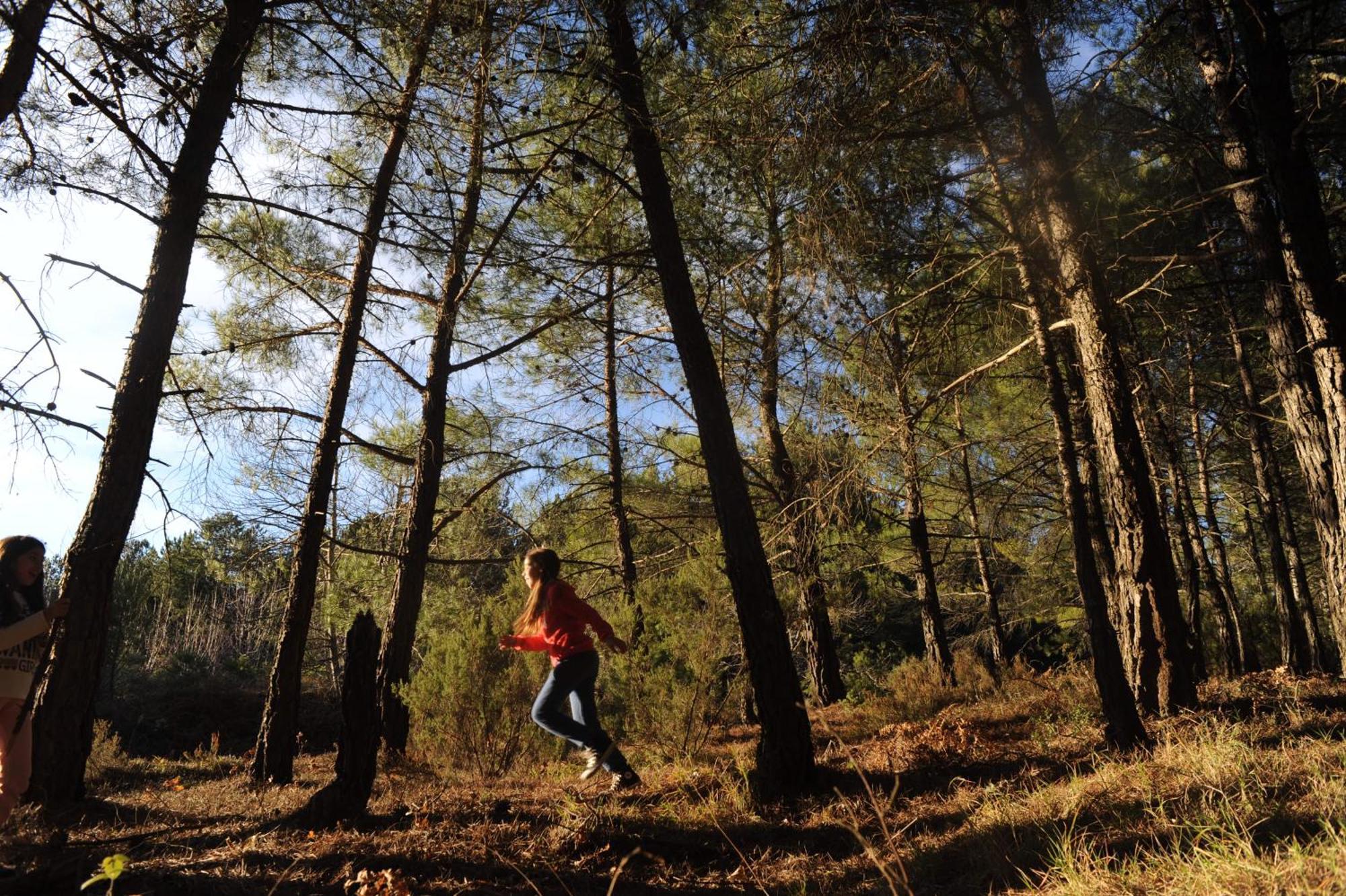 מלון טריפוליס Foresta In Medias Mores מראה חיצוני תמונה