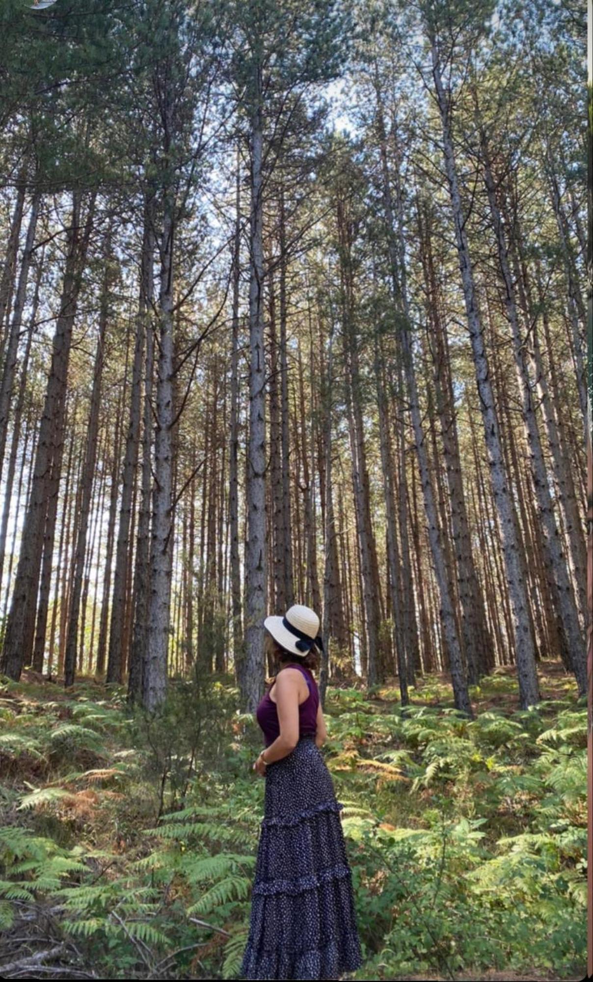 מלון טריפוליס Foresta In Medias Mores מראה חיצוני תמונה