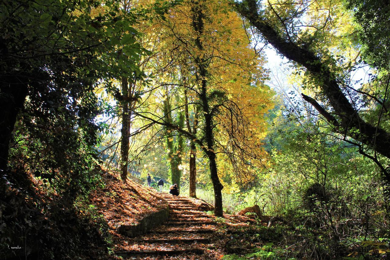 מלון טריפוליס Foresta In Medias Mores מראה חיצוני תמונה